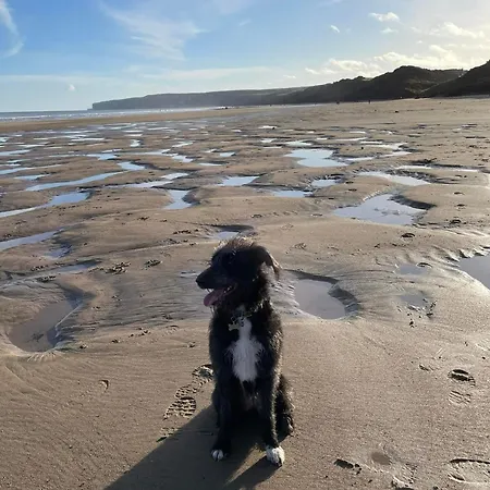 Sandy Toes, The Bay, Filey